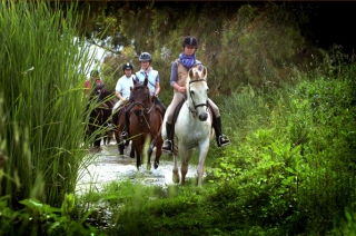  balade à cheval le long de la rivière 